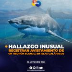 Primer avistamiento de un tiburón blanco cerca de las Islas Galápagos