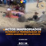 Lobos marinos se ven afectados por actos indebidos de personas en Isla San Cristóbal