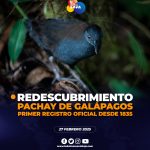 REDESCUBRIMIENTO DEL PACHAY DE GALÁPAGOS